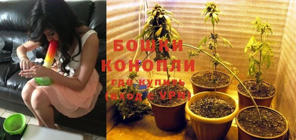 прущая мука Каменногорск