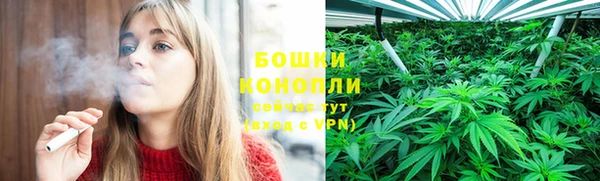 прущая мука Каменногорск